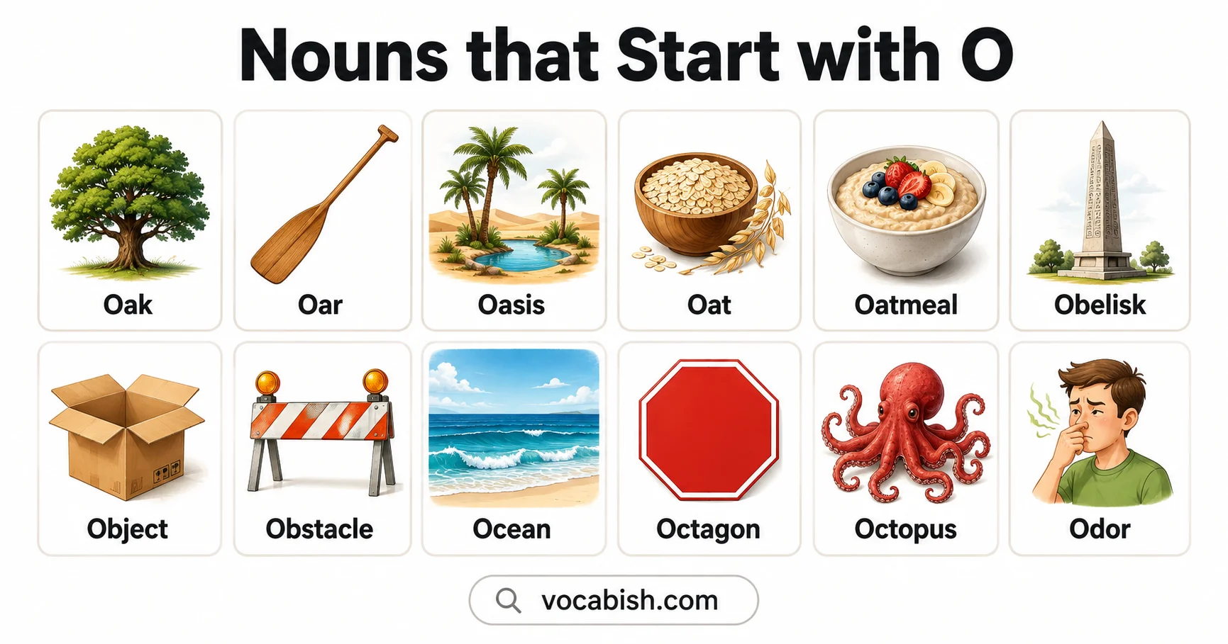 520 Nouns that Start with O along with their Meanings, Examples, and Pictures