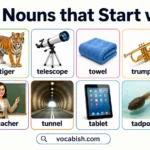600+ Nouns that Start with T