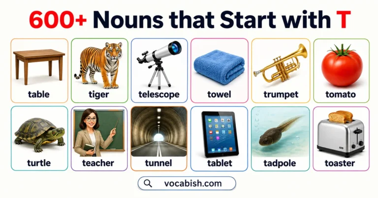 600+ Nouns that Start with T