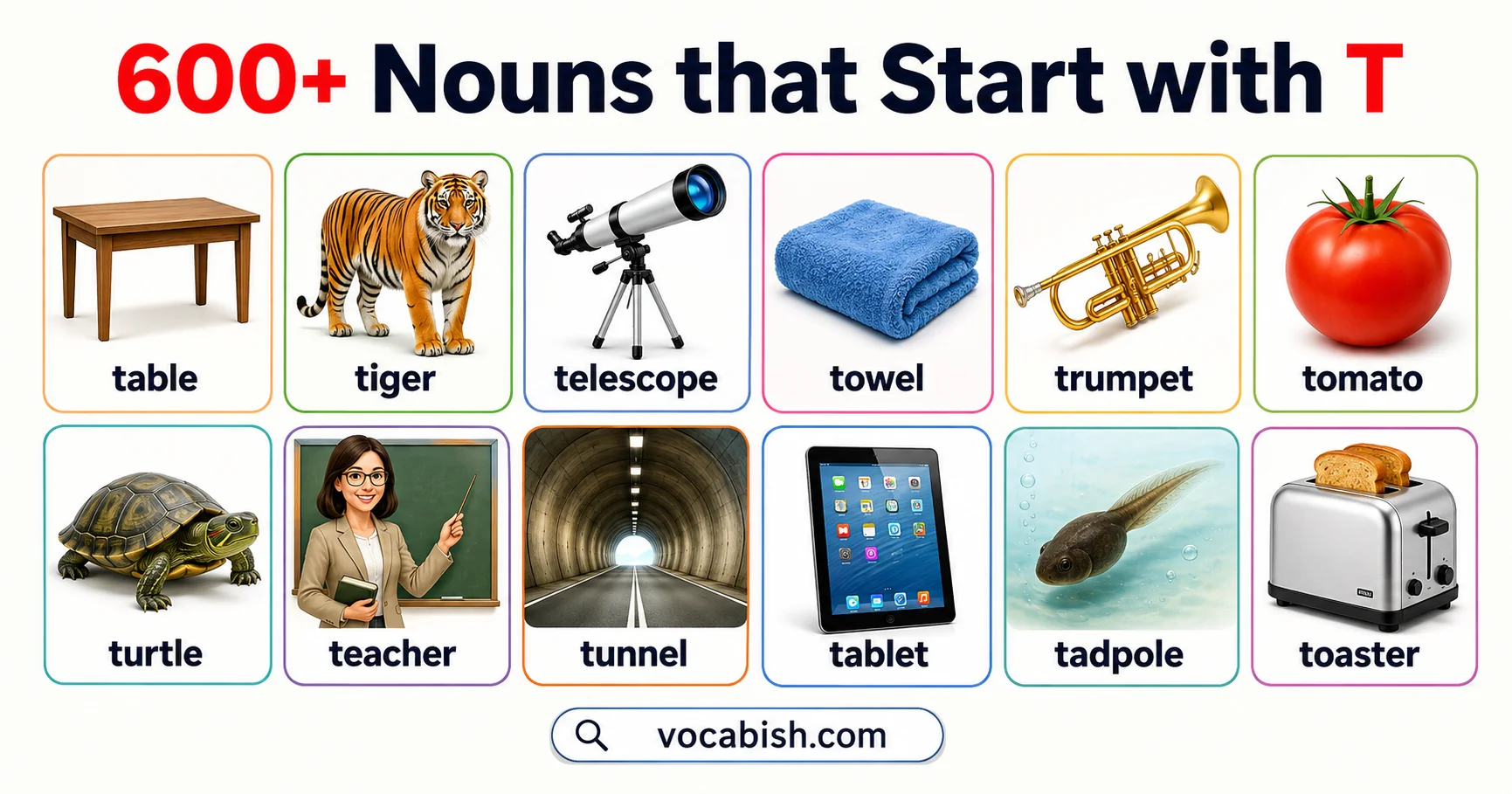 600+ Nouns that Start with T
