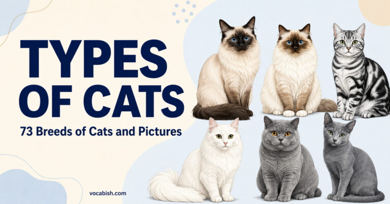 73 Types of Cats Explained with Differences