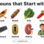 800+ Nouns starting with K along with Their Meanings and Examples in Sentences