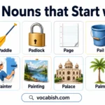 850+ Nouns that Start with P along with their Meanings and Examples in Sentences