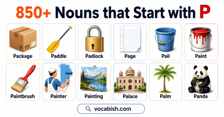 850+ Nouns that Start with P along with their Meanings and Examples in Sentences