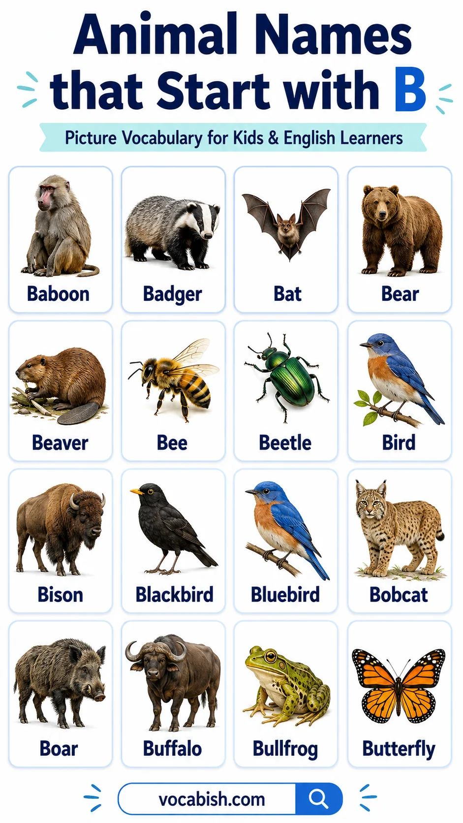 Animal Names that Start with B