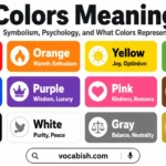 Colors Meaning and Their Symbolism and Psychology Terms