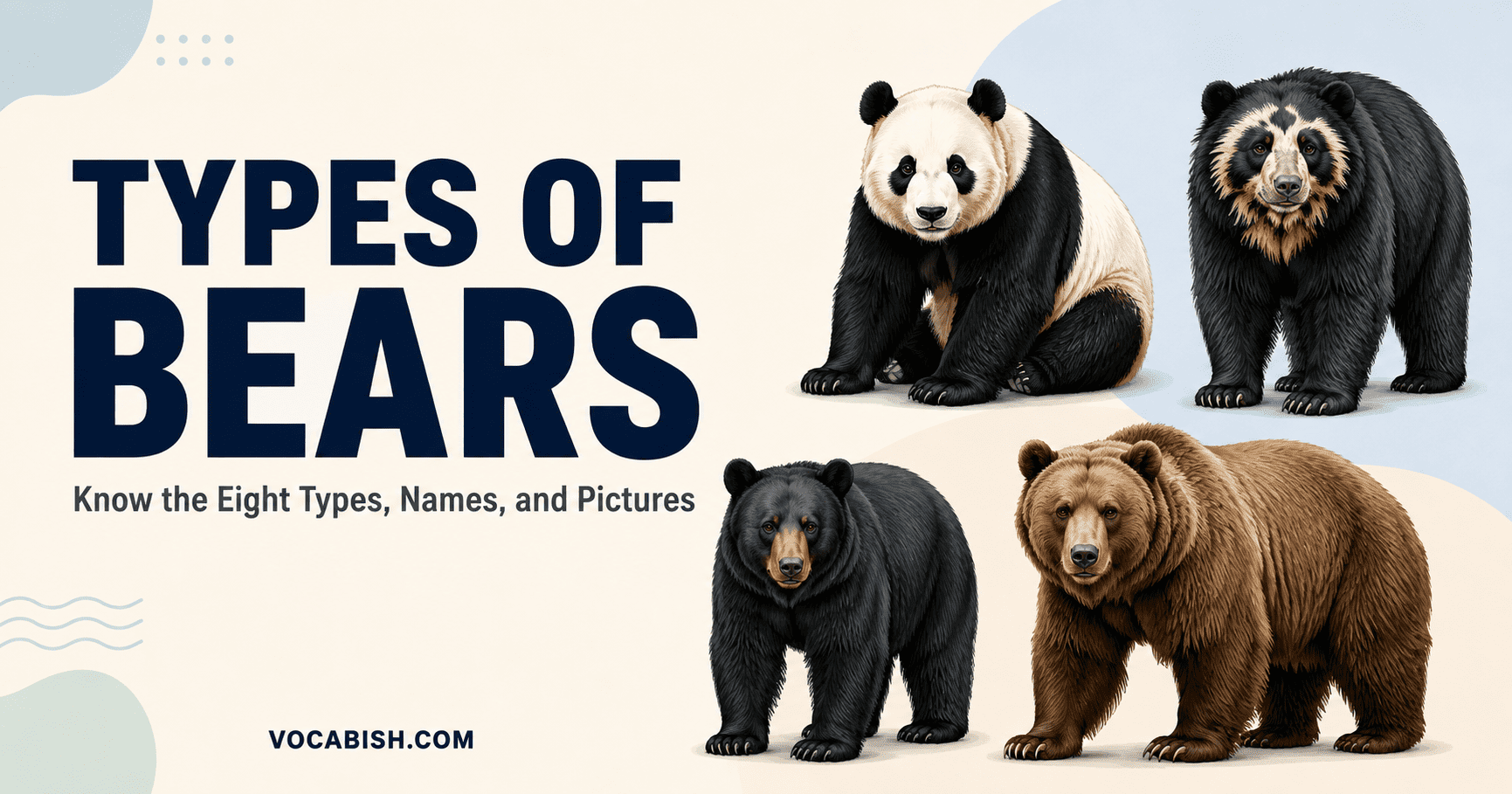Different Bears Types: Names, Habitats, and Pictures