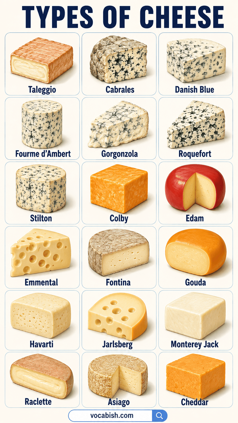 Different Types of Cheese