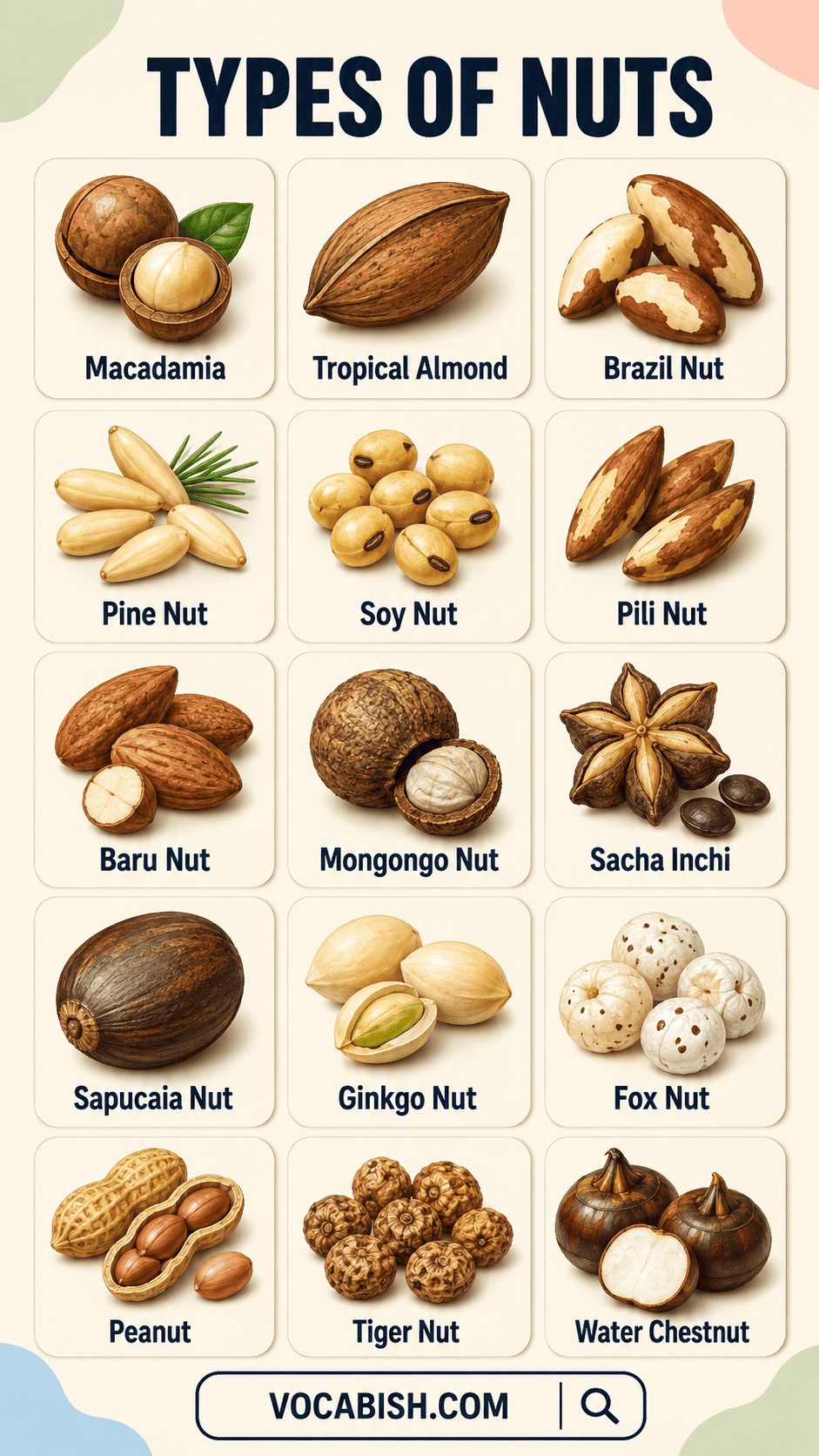 Different Types of Nuts and Their Pictures
