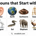 E Nouns List with Meanings and Examples