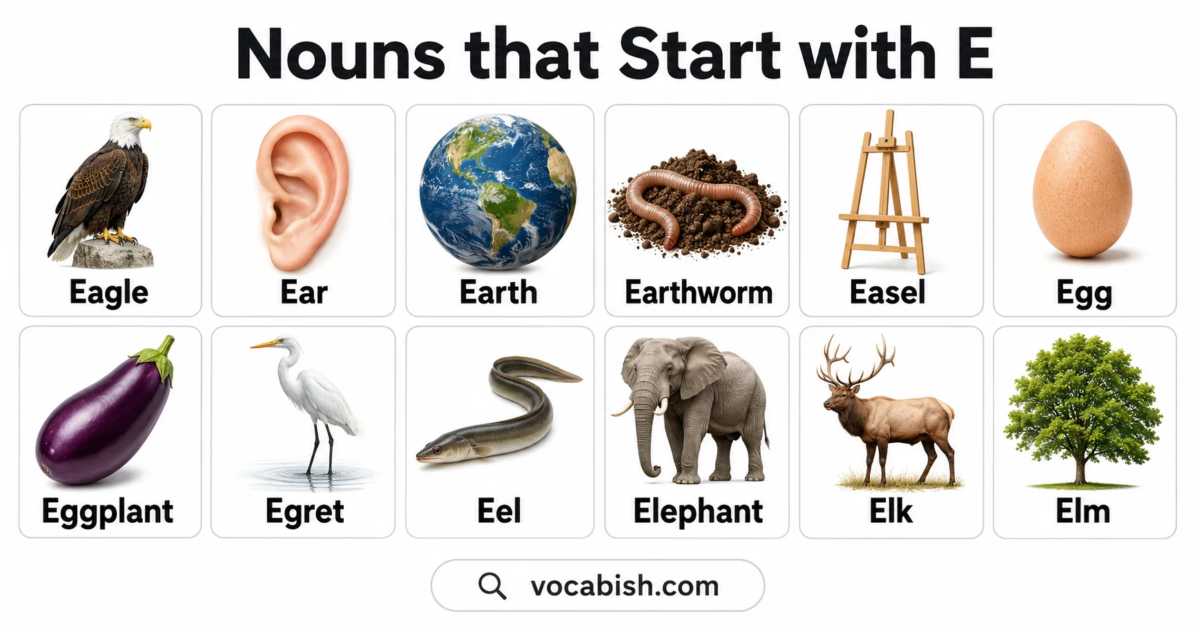 E Nouns List with Meanings and Examples