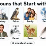 F Nouns List with Meanings