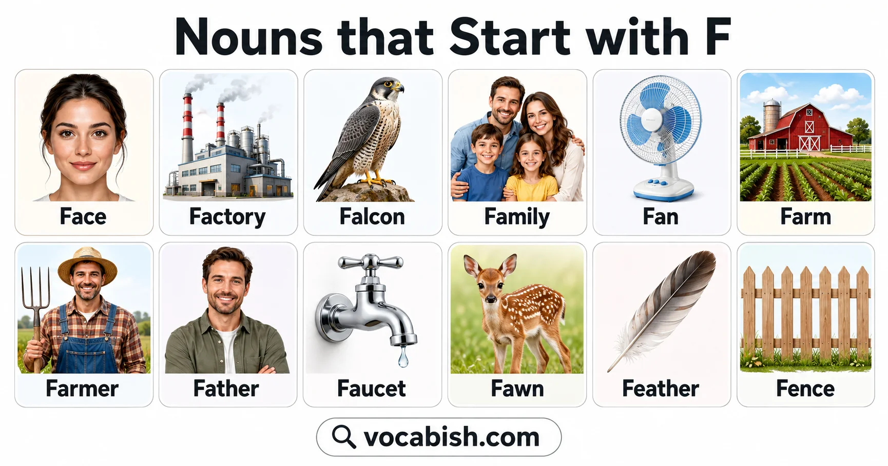 F Nouns List with Meanings
