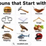 List of All Nouns that Start with H