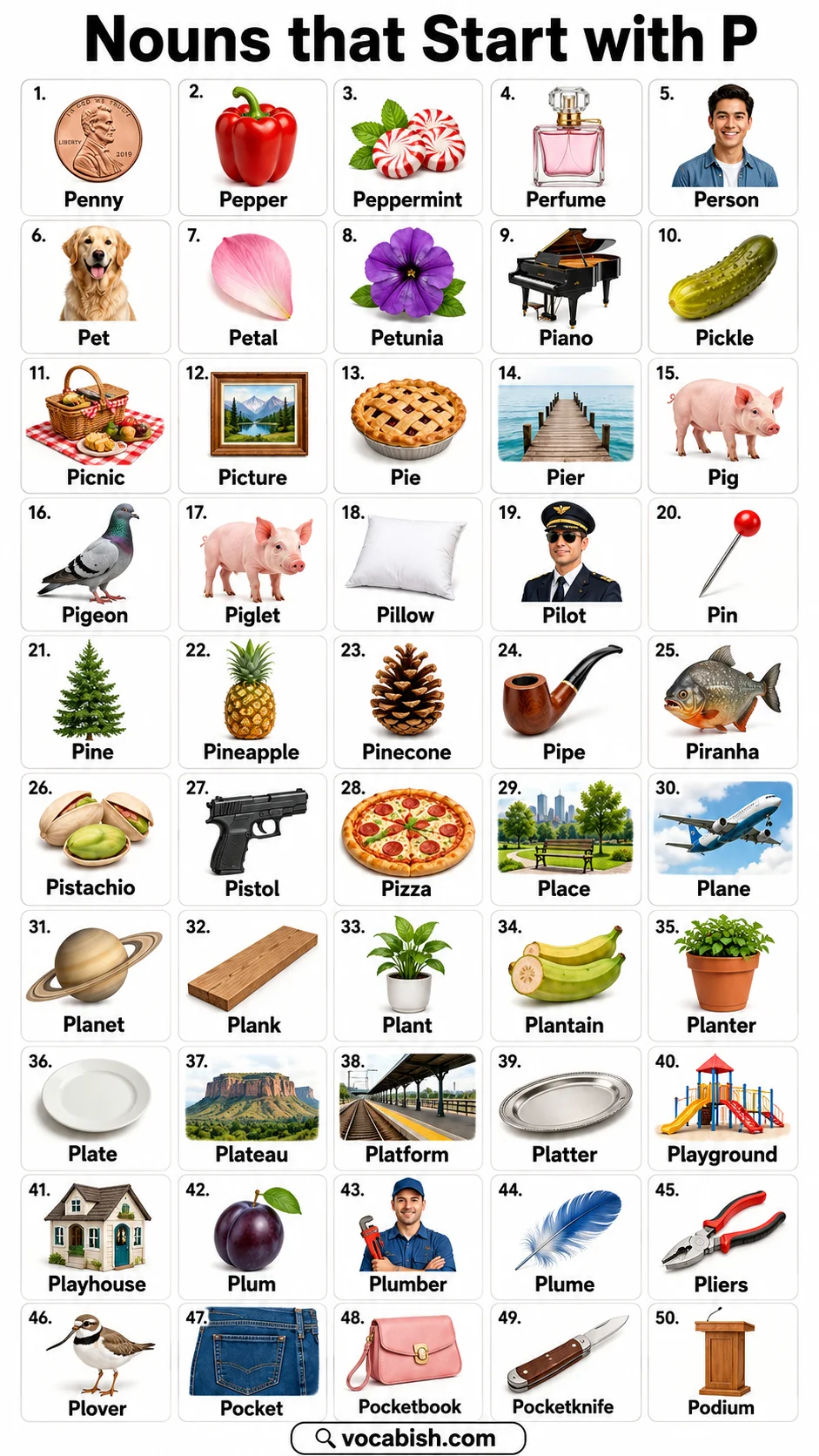 List of Noun Words that Start with P
