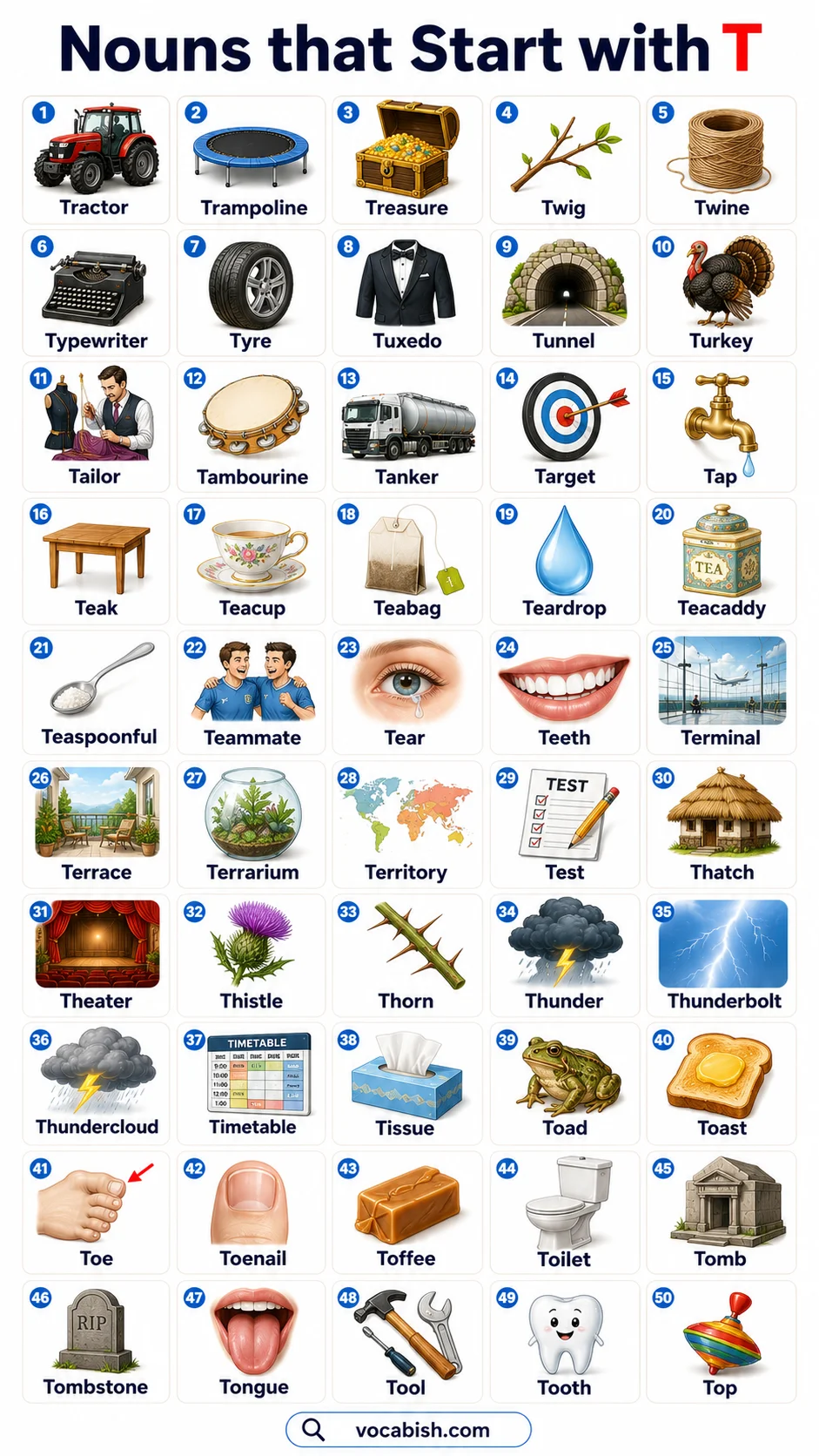 List of Nouns Beginning with T
