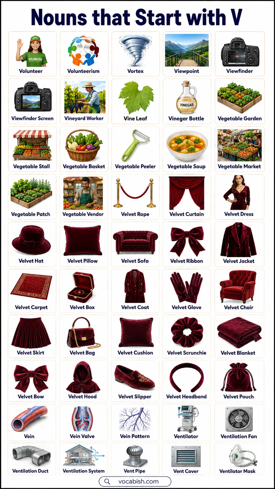 List of Nouns Beginning with V