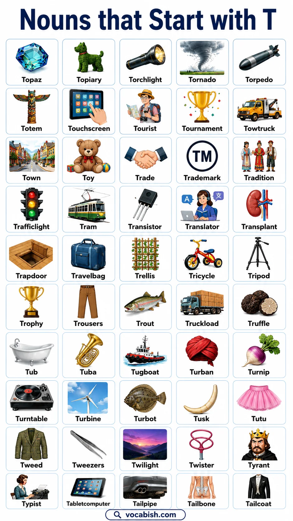 Nouns Starting with T in English