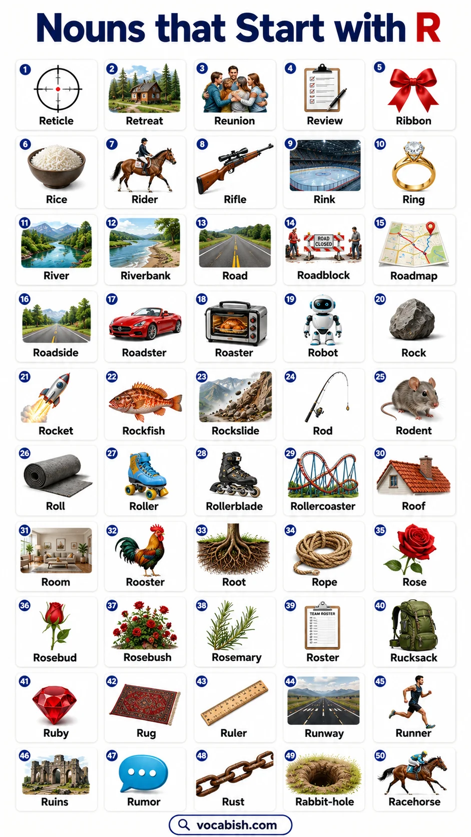 Noun Words Beginning with R