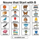 Noun Words Starting with B