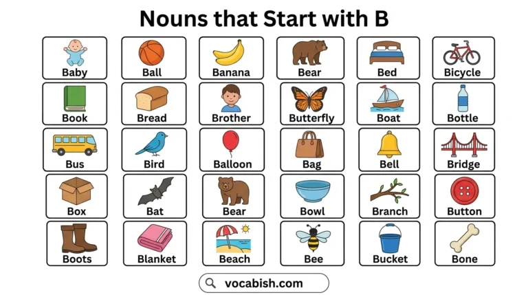 Noun Words Starting with B