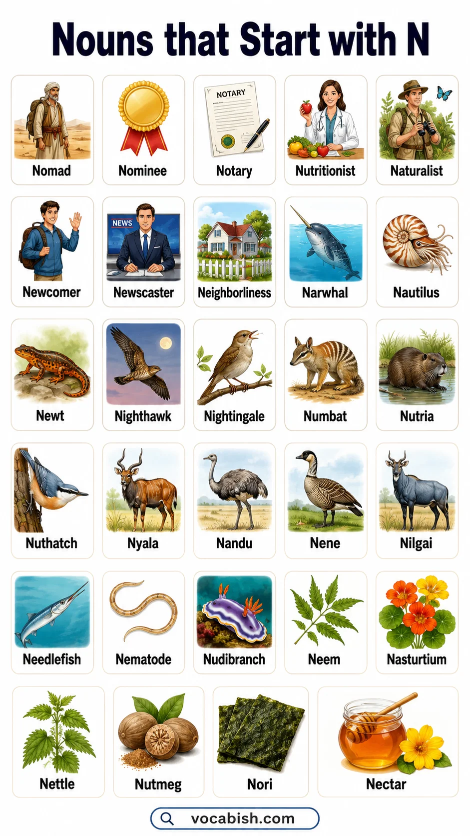 Nouns Beginning With N and their Meanings