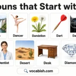 Nouns Beginning with D