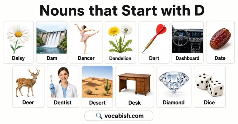 Nouns Beginning with D