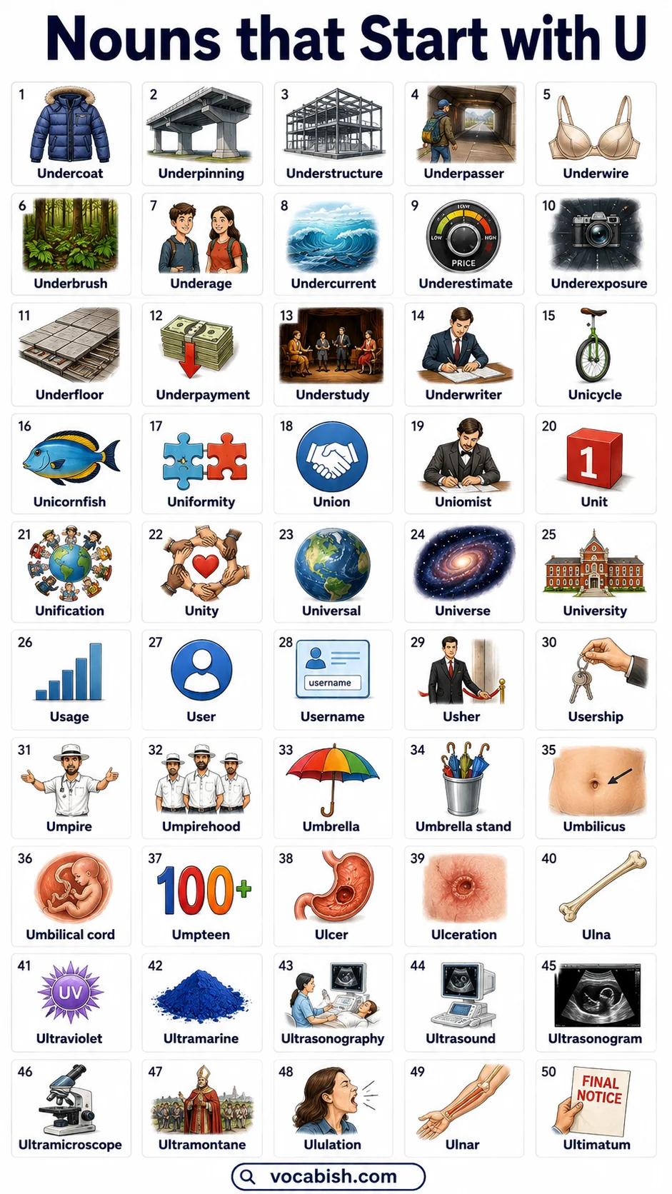 Nouns Starting With U and Their Pictures