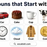 Nouns Starting with C