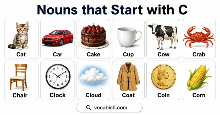 Nouns Starting with C