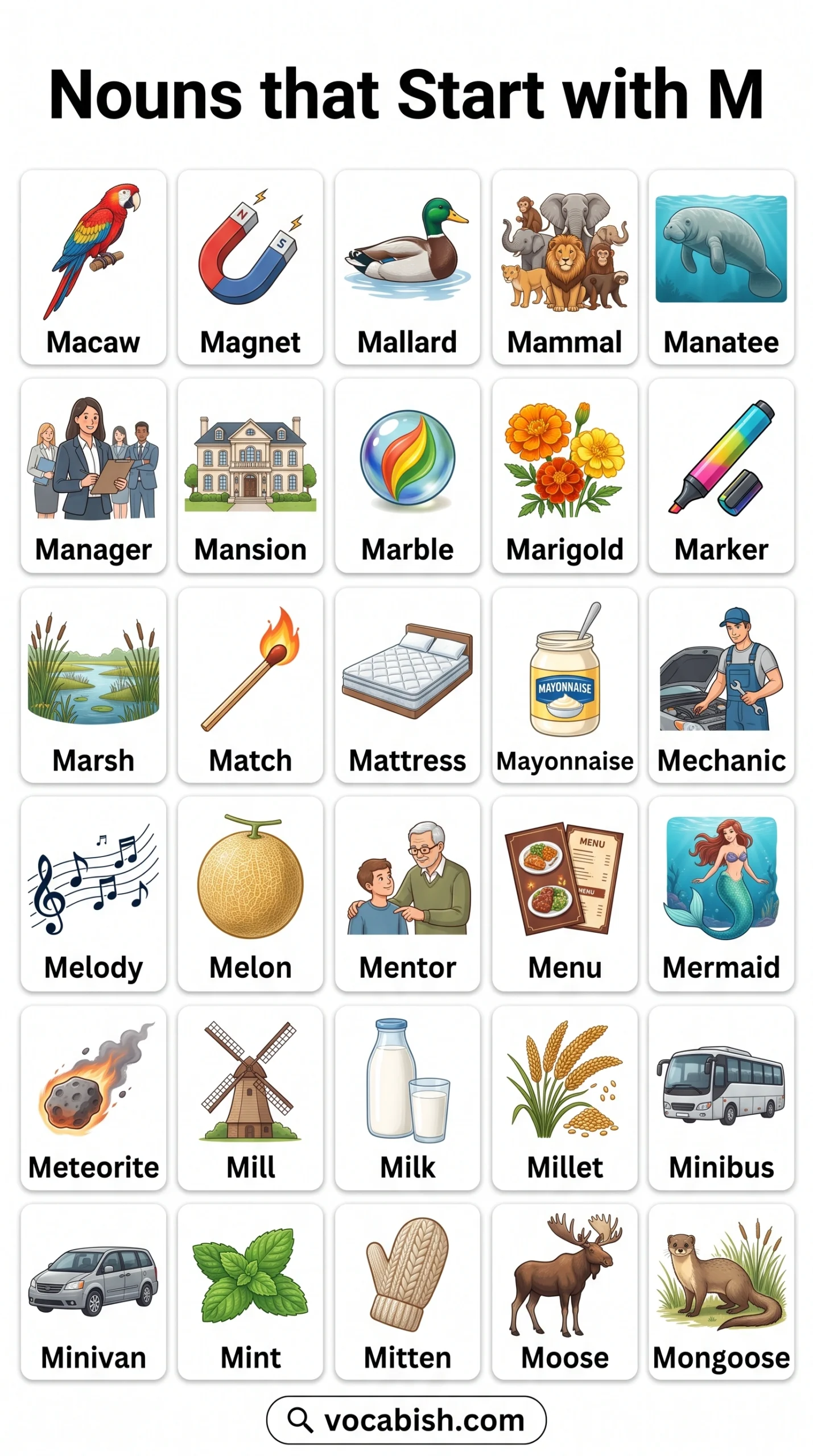 Nouns Starting with M