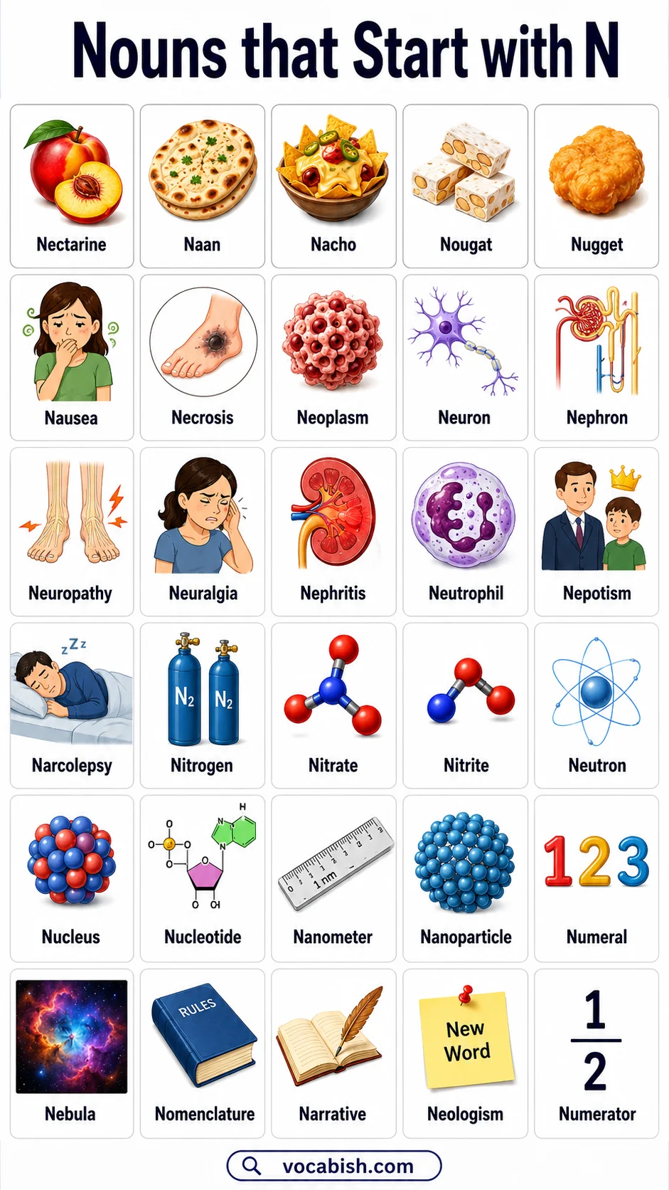 Nouns Starting with N and Their Images