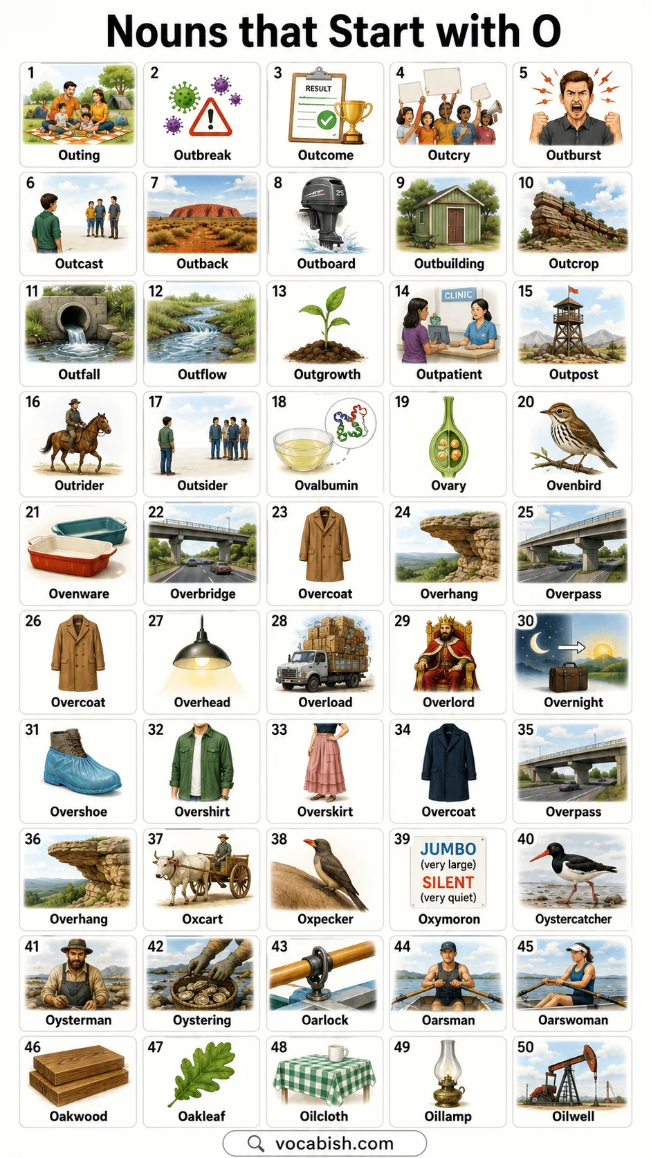 Nouns Starting with O