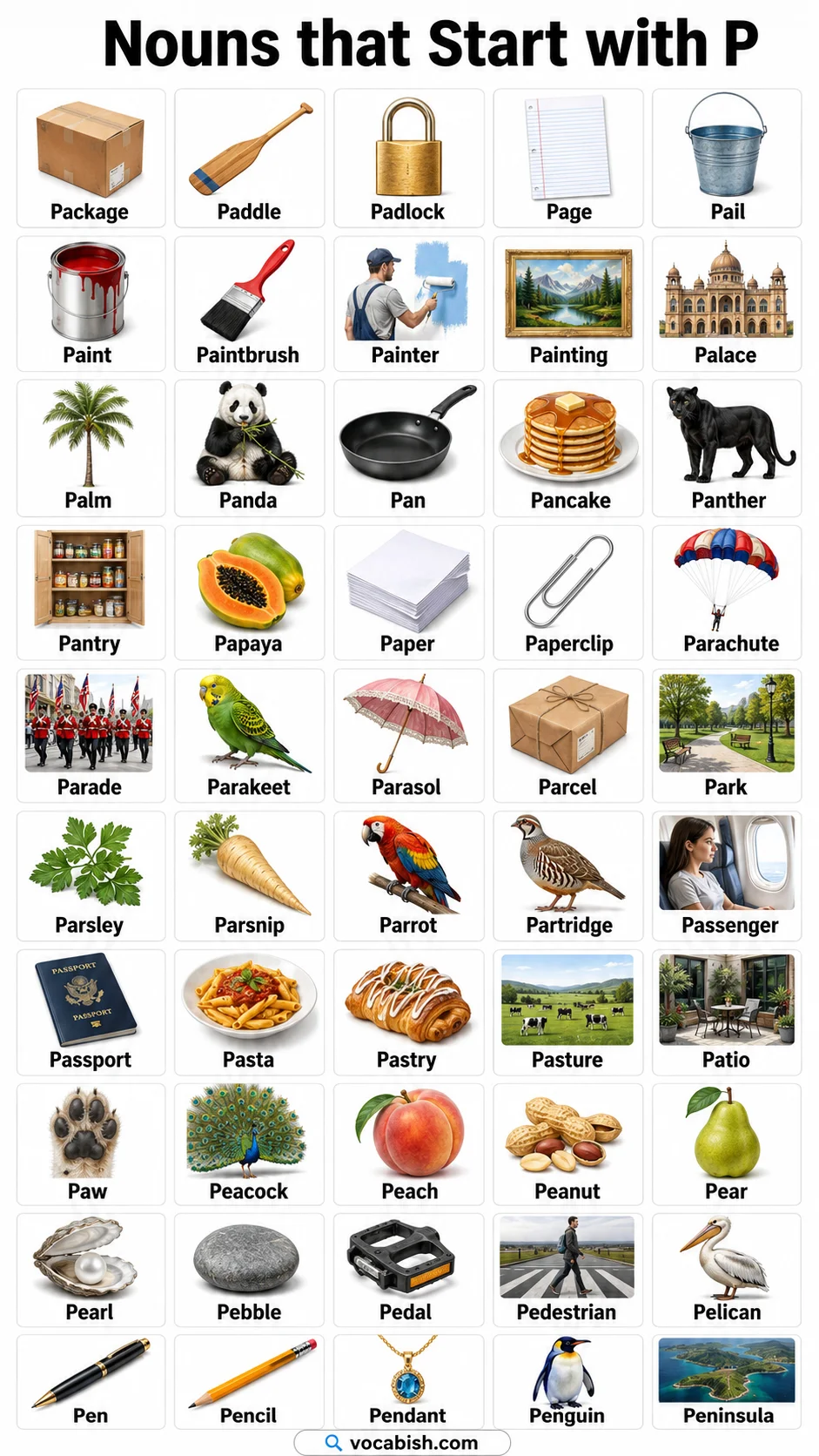 Nouns That Start With P and Their Pictures