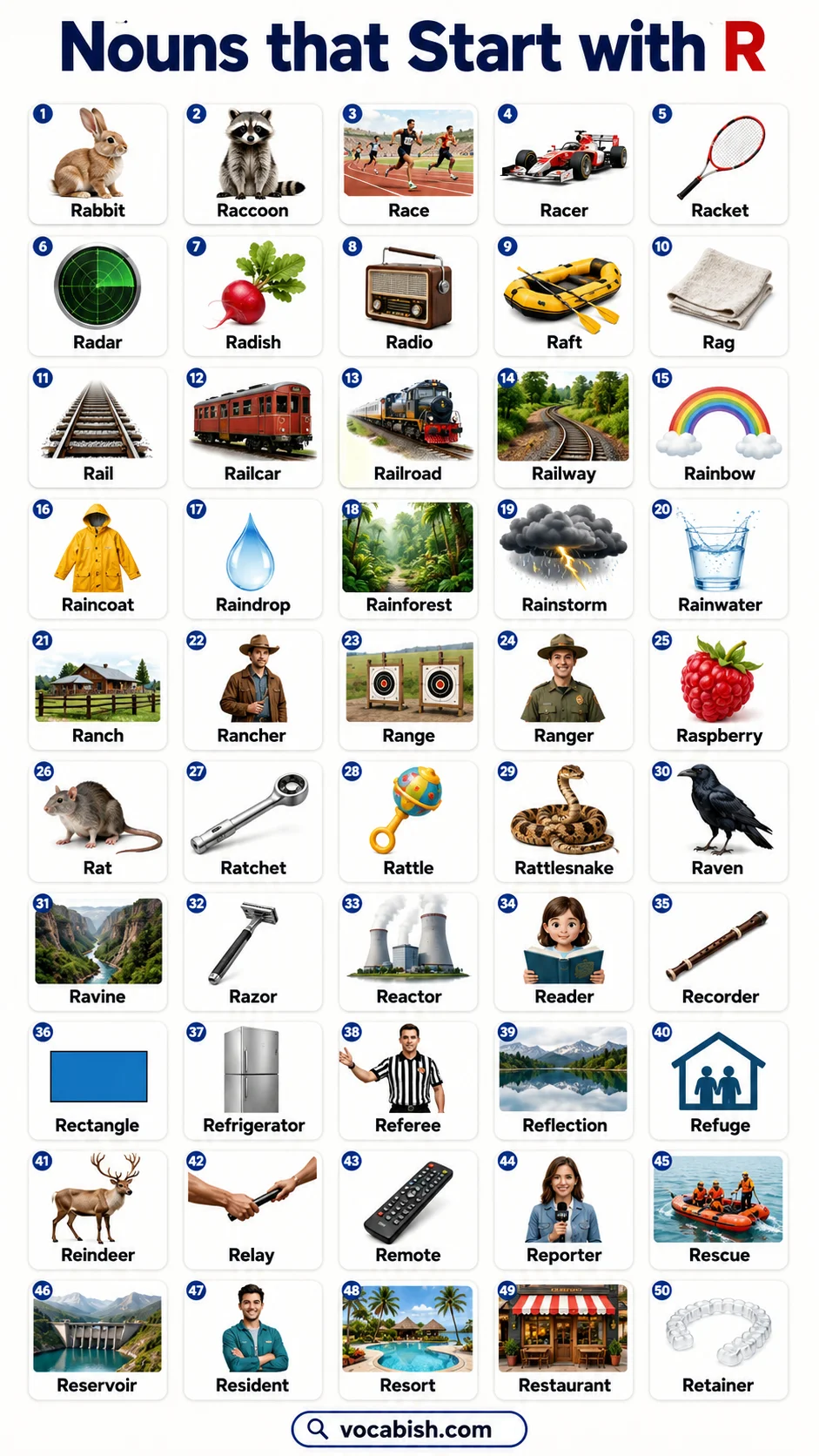 Nouns That Start With R and Their Pictures