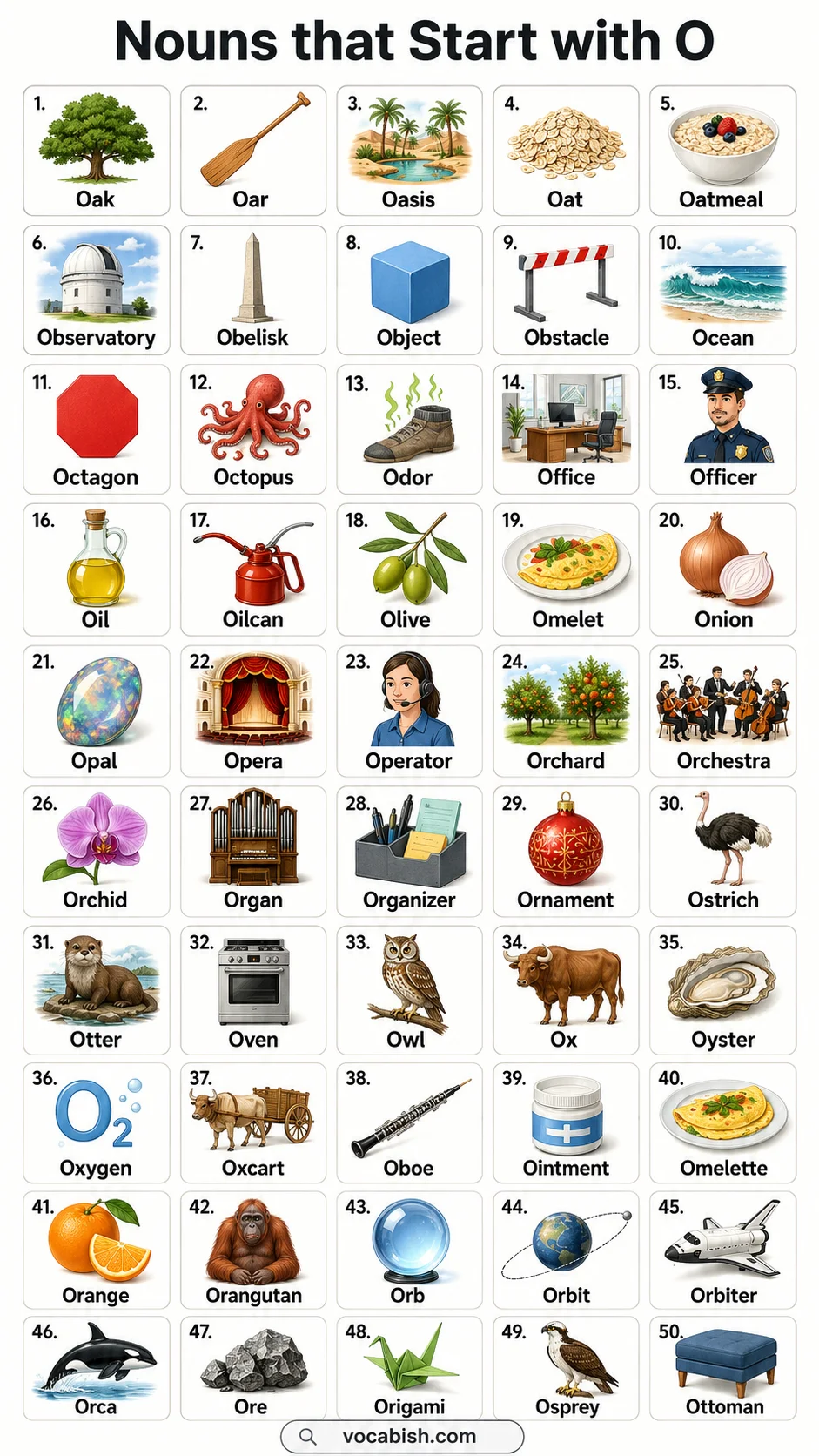 Nouns That Start with O and Their Pictures