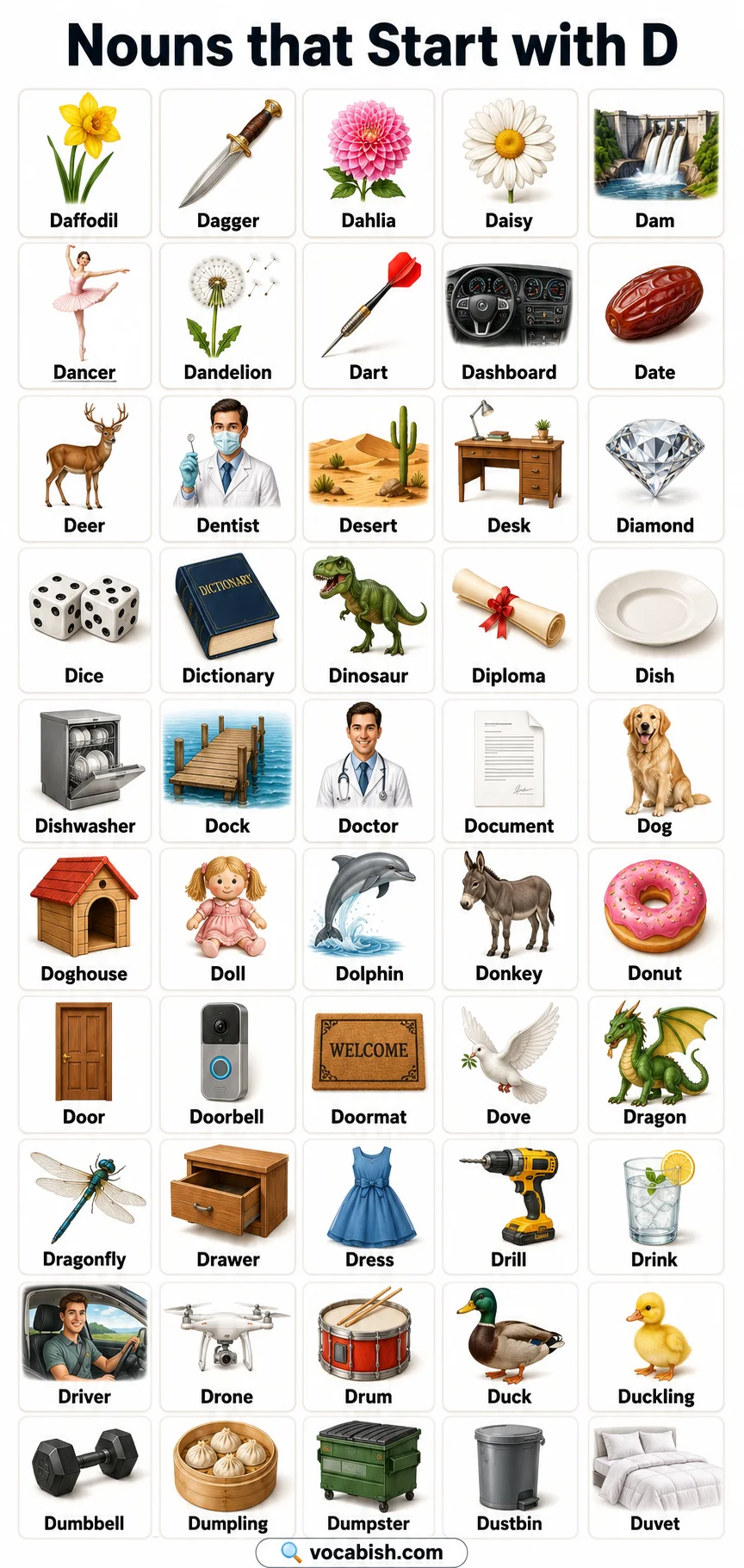 Nouns that Start with D and Their Pictures