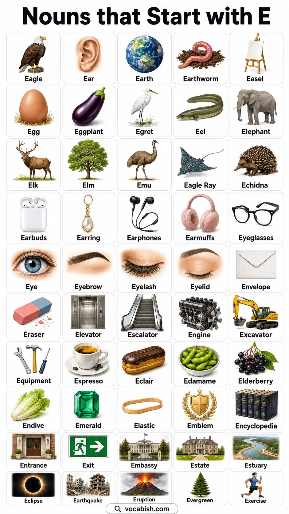 Nouns that Start with E and Their Pictures