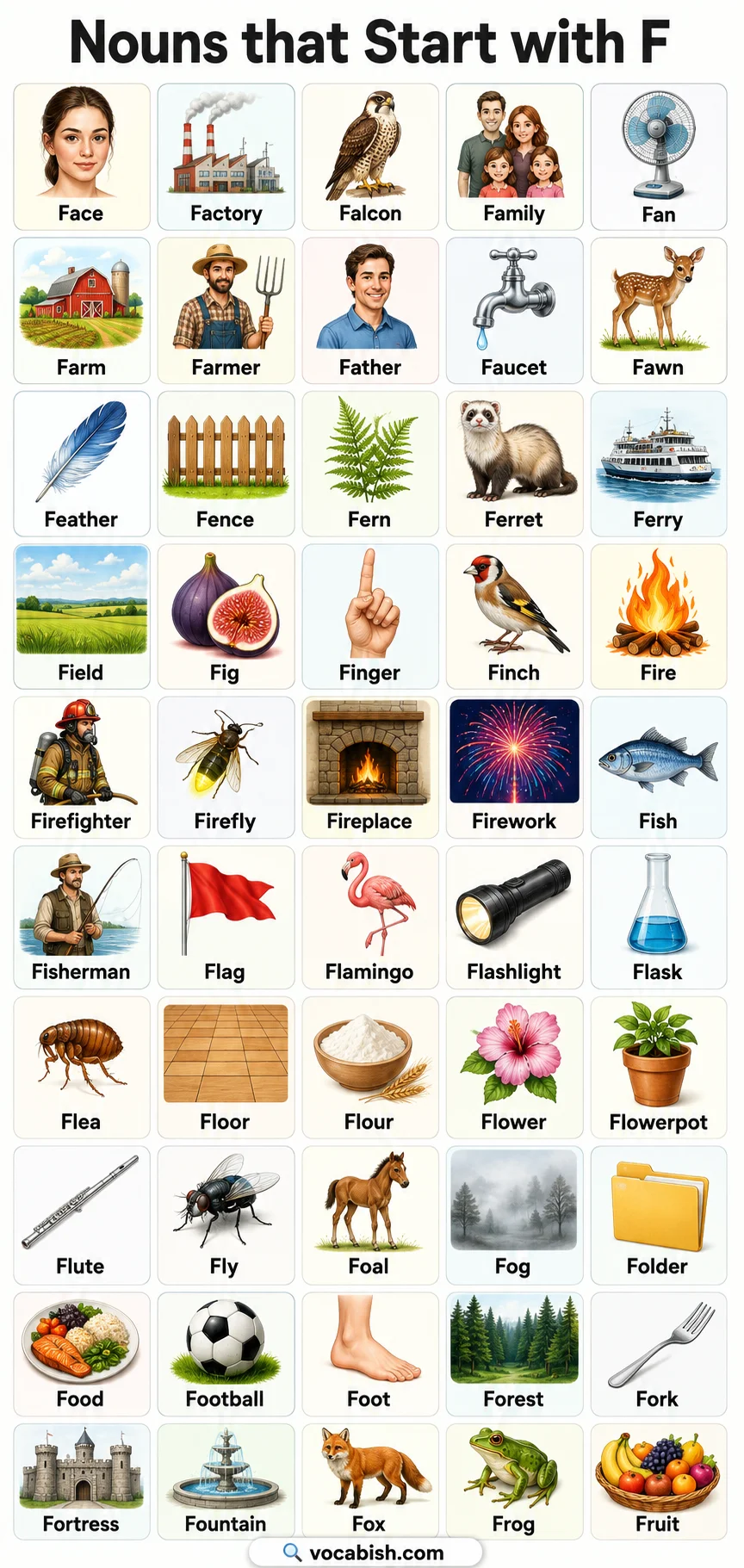Nouns that Start with F and Their Pictures