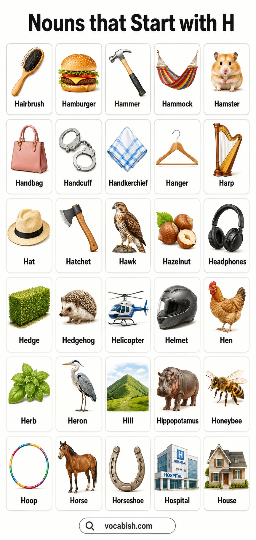Nouns that Start with H and Their Pictures