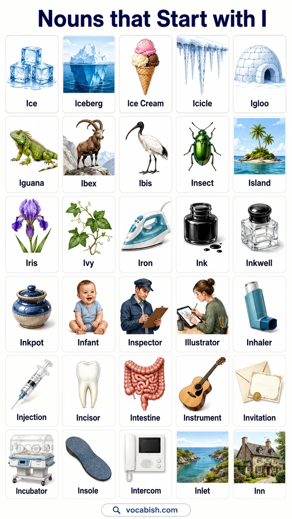Nouns that Start with I and Their Pictures