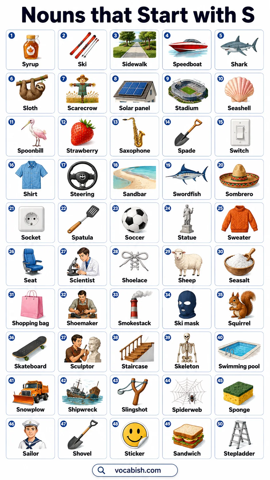 Nouns that Start with S and Their Pictures