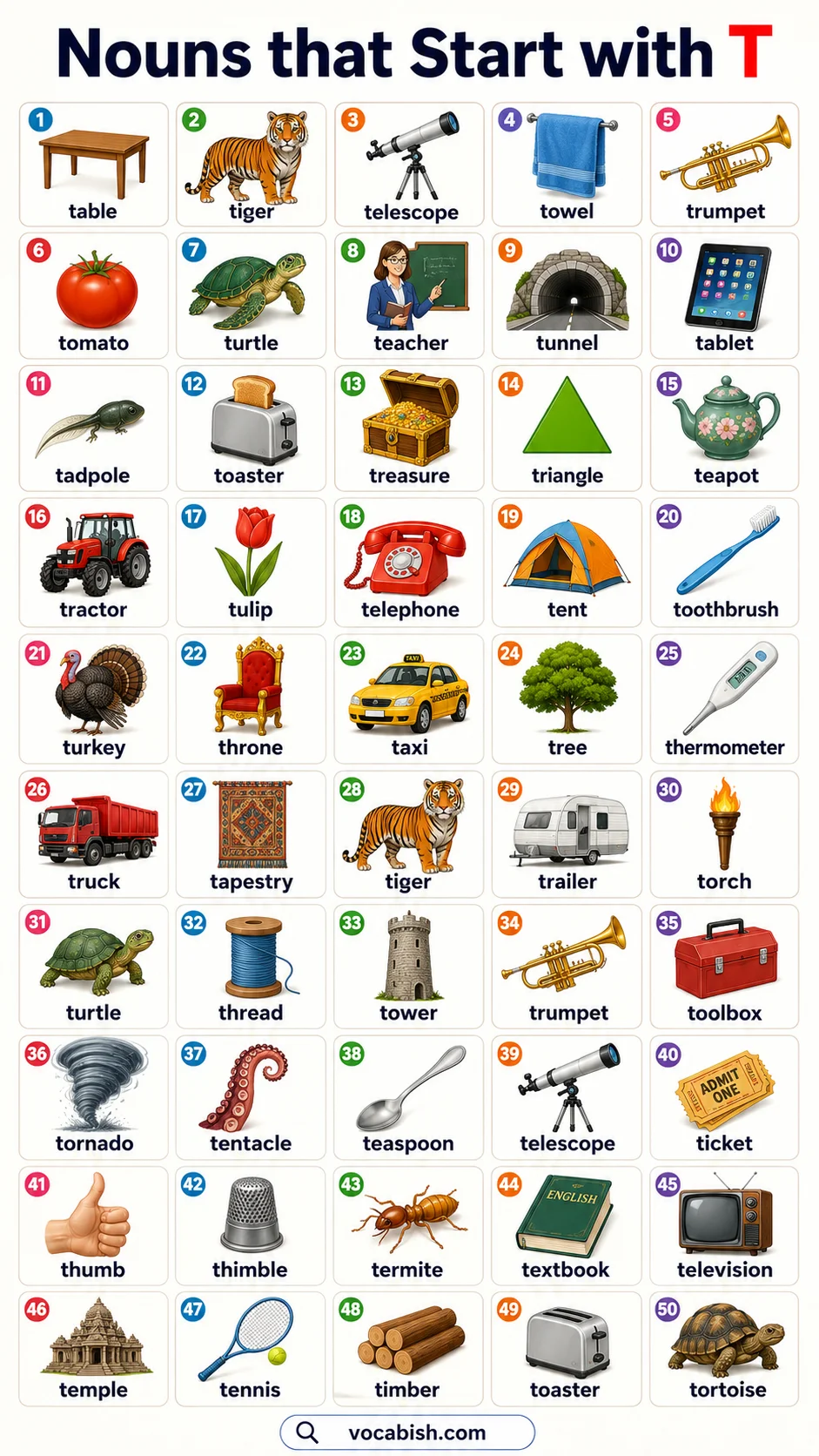 Nouns that Start with T and Their Pictures