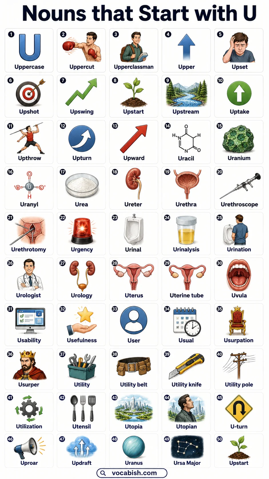 Nouns that Start with U in English