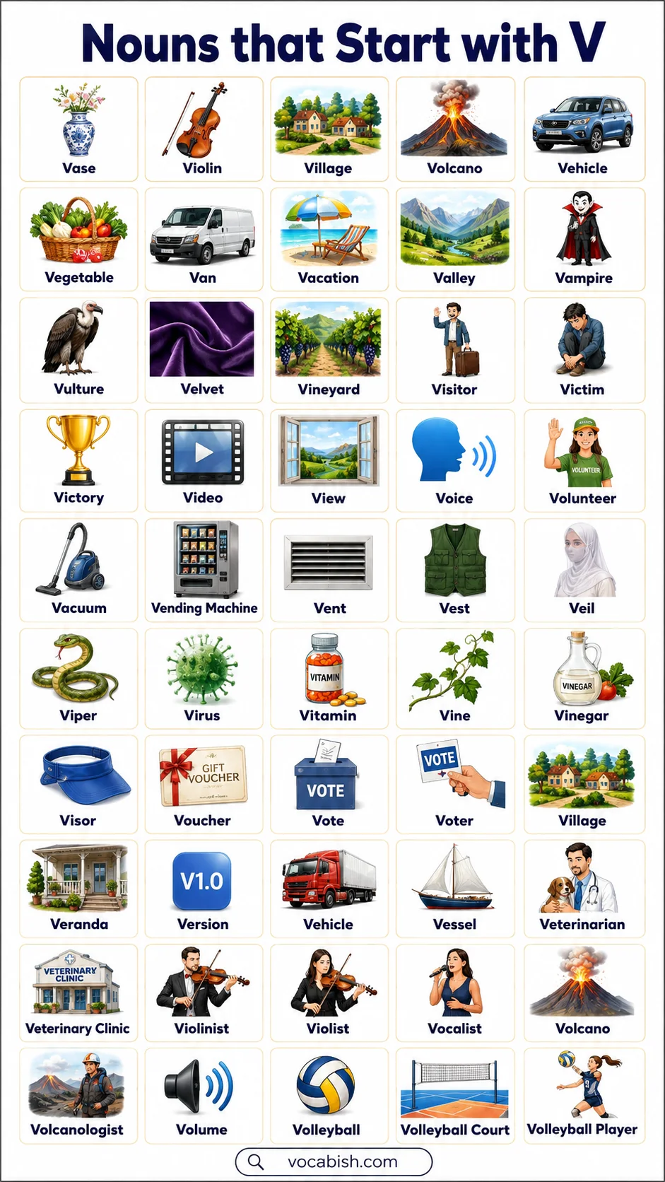 Nouns that Start with V in English