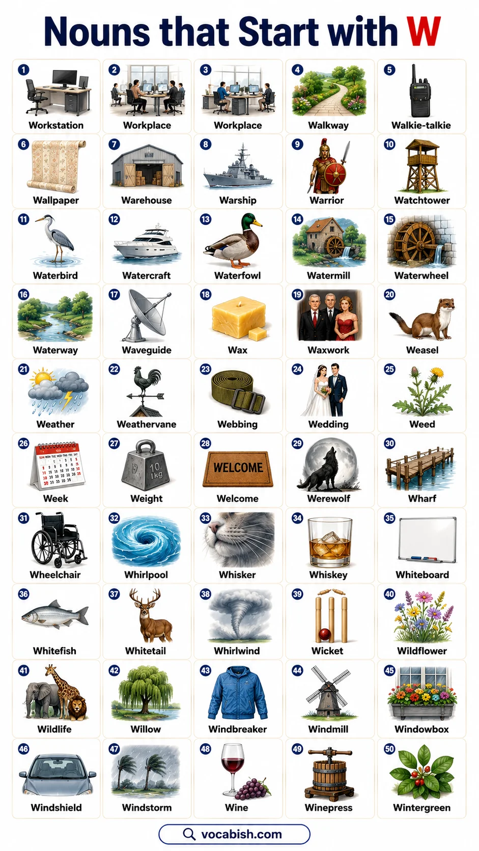 Nouns that Start with W in English