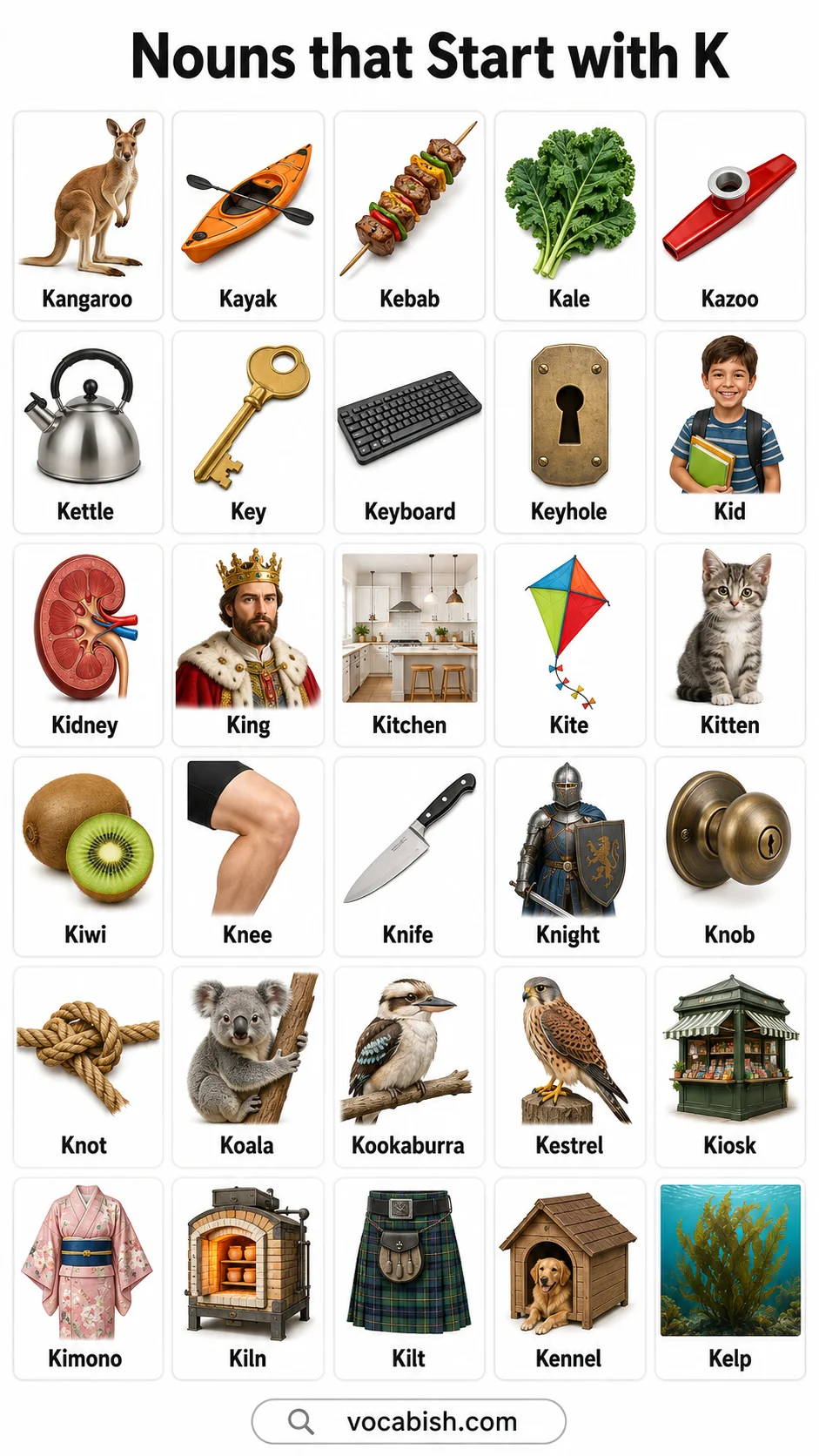 Nouns that start with K and Their Pictures