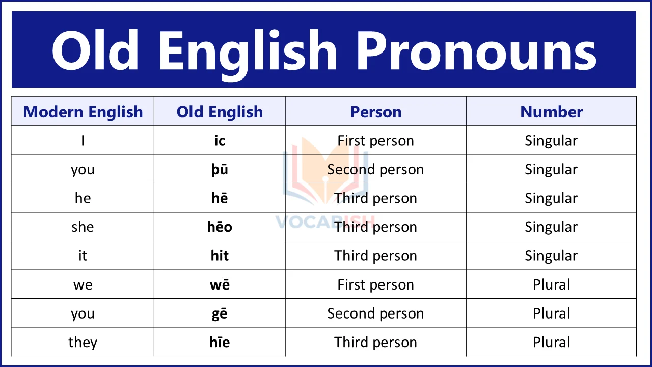 Old English Pronouns Explained with Meanings and Uses