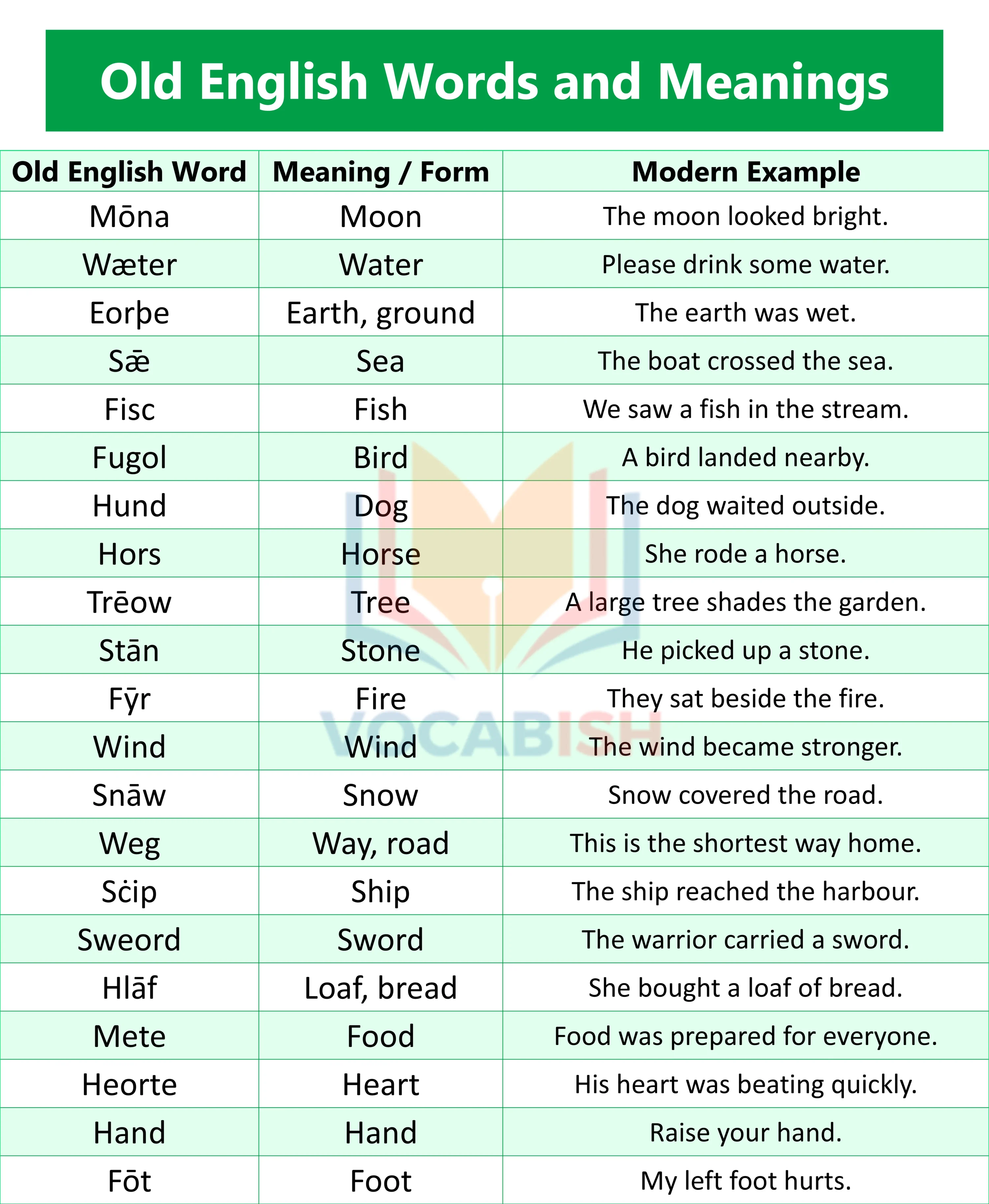 Old English Vocabulary Words and Meanings